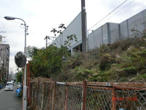 CIMG3286