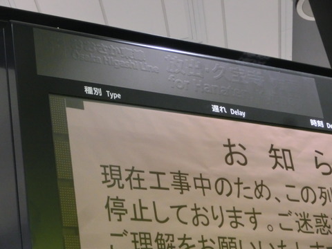 CIMG3146