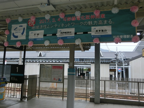 CIMG6608