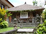 t-bali3