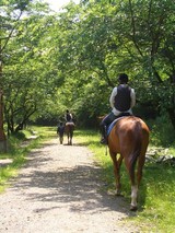 riding3.jpg