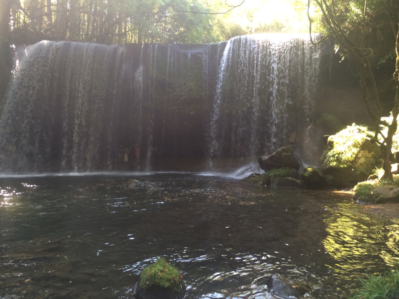 image5