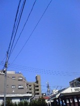 c494566c.jpg