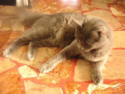 PICT0007