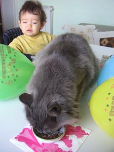 PICT0041