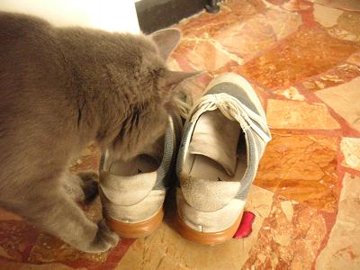 PICT0009