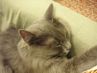 PICT0006