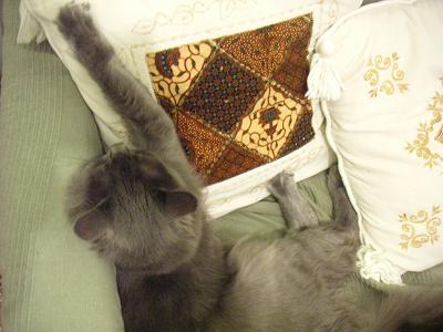 PICT0004