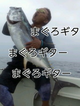 956d597a.jpg