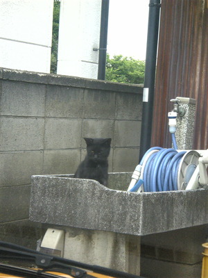 Image089