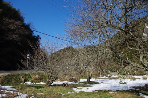 IMGP9932