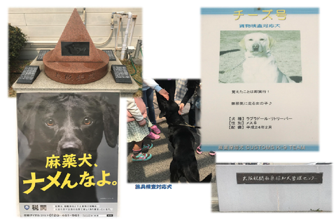 アップ用