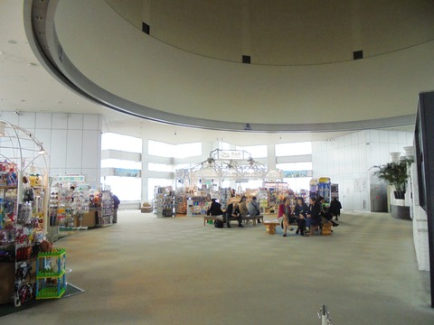 展望室内観
