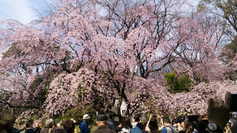 六義園