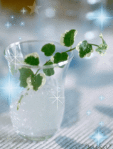 fb5d25b3.gif