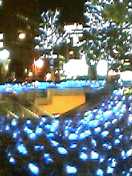 050121_1817001.jpg