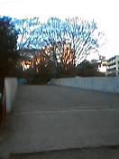 050121_1603001.jpg