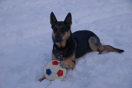 20120114 157
