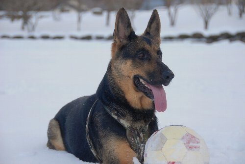 20120114 033