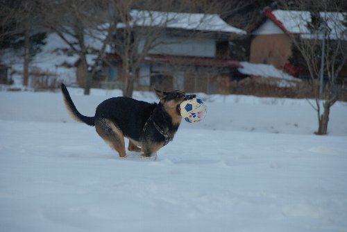 20120114 042