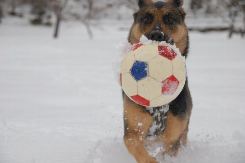 05 �ѥ��������� 091