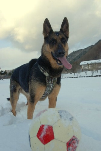 20120114 027