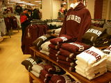 Havard 5
