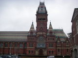 Havard 3