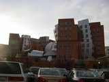 MIT1