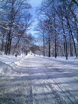 massachusetts ave
