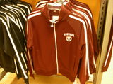 Havard 4