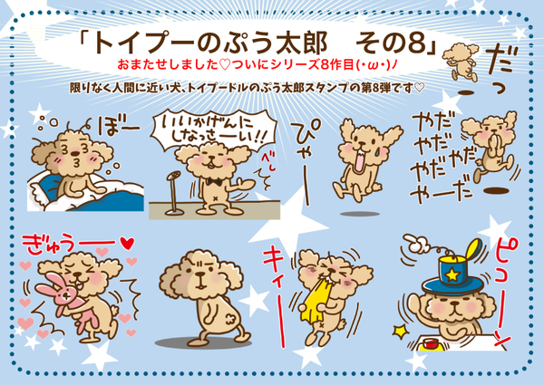 宣伝800