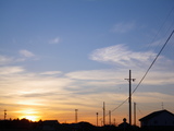 IMGP0410