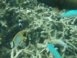 P3061033