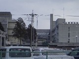 1a6895f7.JPG
