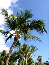 P1030400