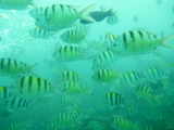 P1030186