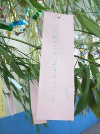 0786d300.jpg