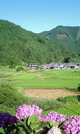 bb7f2a98.JPG
