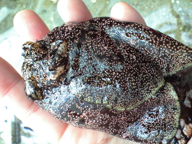 d7e1f525.JPG