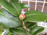 5f15c867.JPG