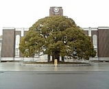 63b962c1.jpg
