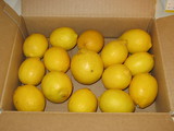 c623472b.JPG