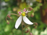 b825b08e.jpg