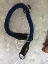081e40fd.jpg