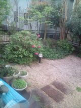 134a905d.jpg