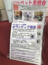 1a291020.jpg