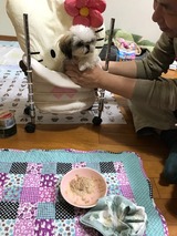 33f87f7e.jpg