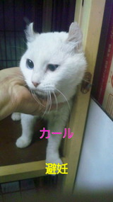 67f1f323.jpg