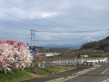 844ff260.jpg